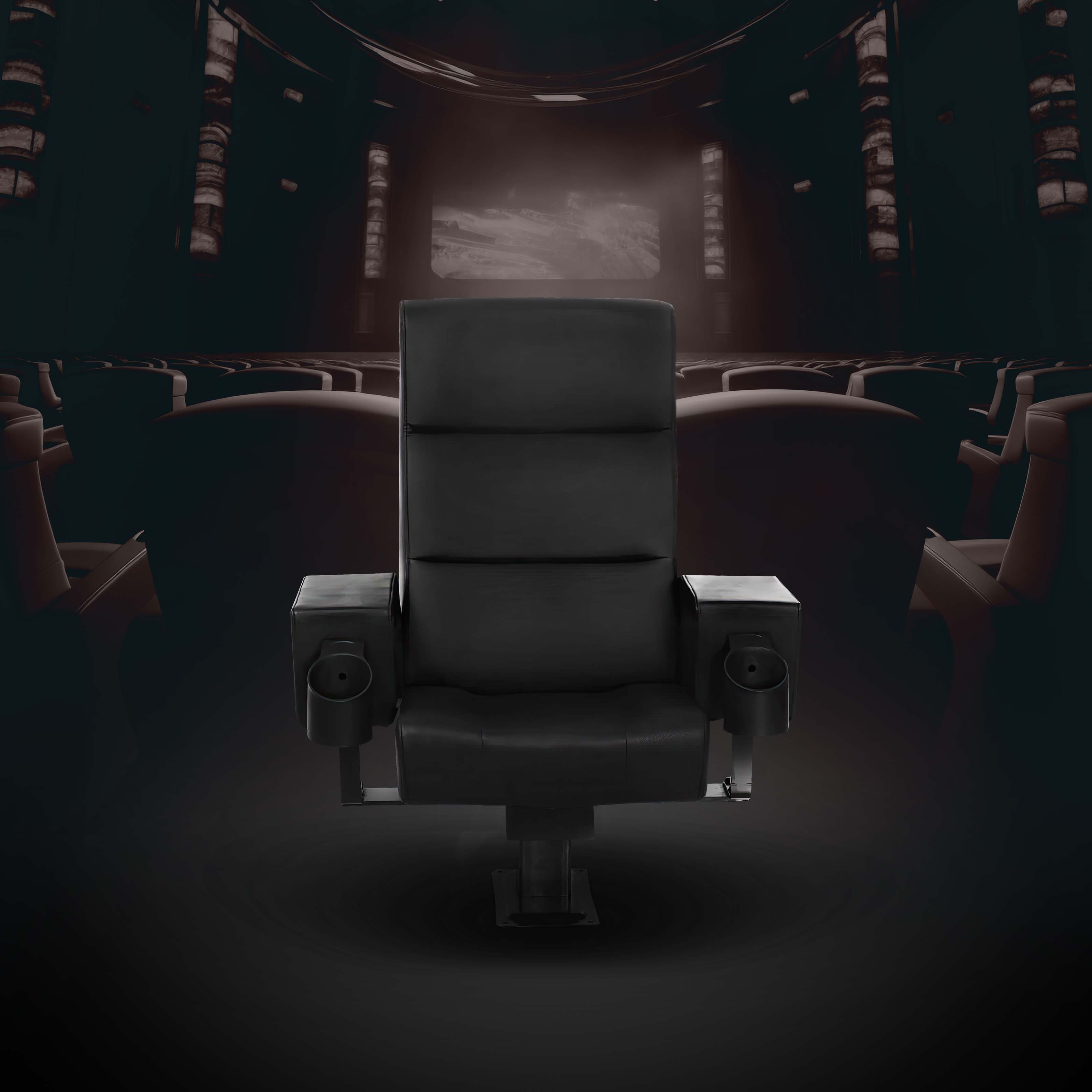Cinema Seating Image